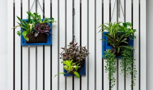 Top 10 Small Space Gardening Solutions