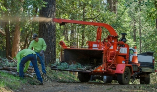 How to Use a Brush Chipper