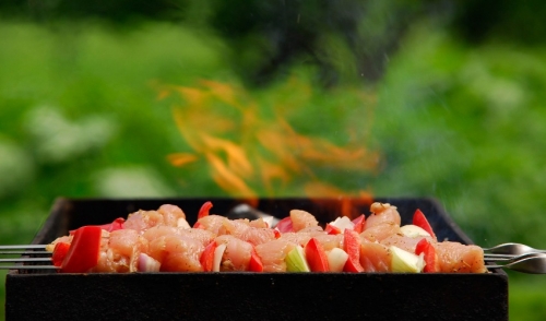 The Differences between Charcoal and Gas Grills