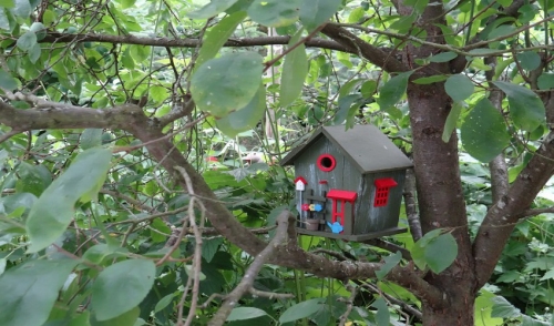 Backyard Bird Shelters