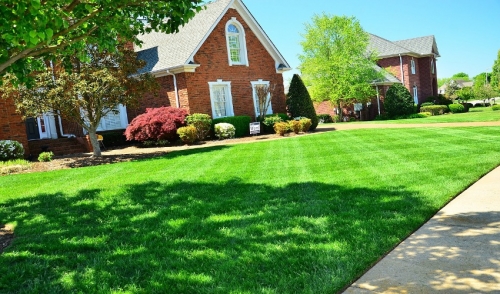 Spring Lawn Care Tips for the Northeast