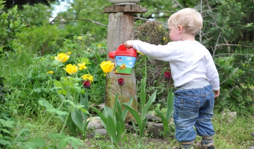 Garden Ideas to Keep Kids Busy