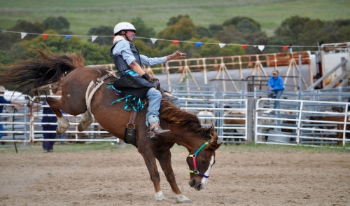 Three Reasons Why Your New Horse May Be Bucking
