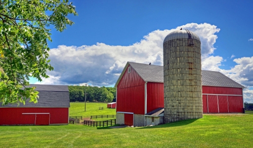 Looking To Build? Exploring The Benefits of Pole Barns