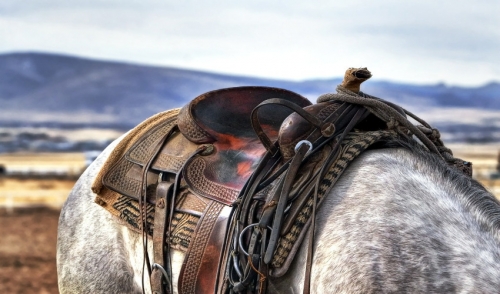 Is Your Tack Safe? Here's How to Check