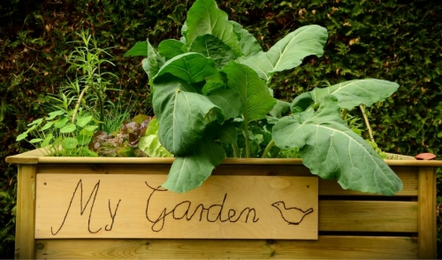 Advantages of a Raised Garden Bed 