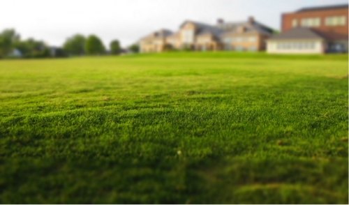 Four Steps For Seeding Bare Spots In Your Lawn