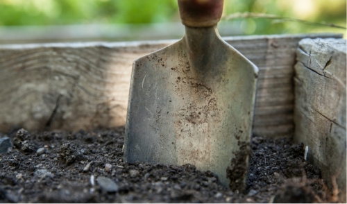 Are You Testing the Soil for Your Plants and Vegetables?