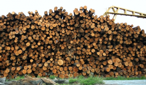 Lumber & Building Material Industry In 2015