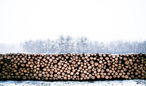 Firewood Storage in Winter