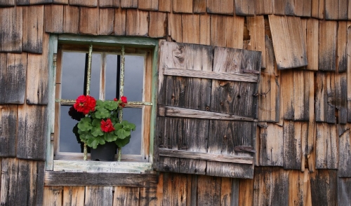 How to Repair Your Wood Siding