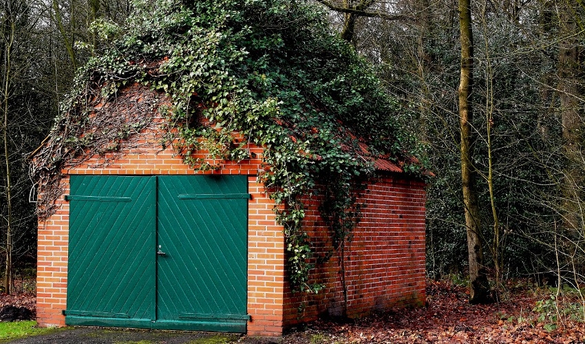 Rent the Equipment you’ll Need for Heavy Weed Mowing Grand True Value