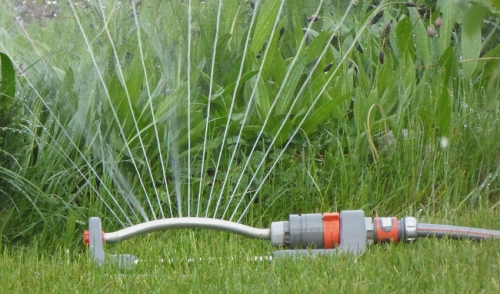 Being Efficient While Watering Your Lawn