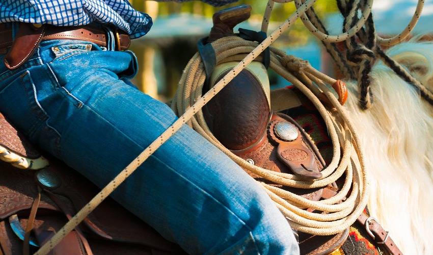 Fletcher's Feed & Farm Supply Five Basic Steps For Saddling Your