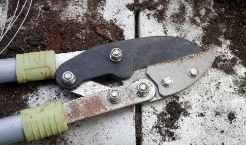 Five Steps To Making Your Pruners Like New Again