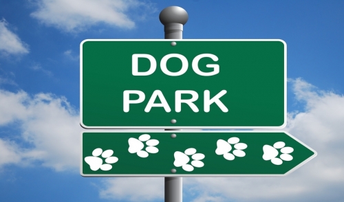 Do's and Don'ts For Dog Parks