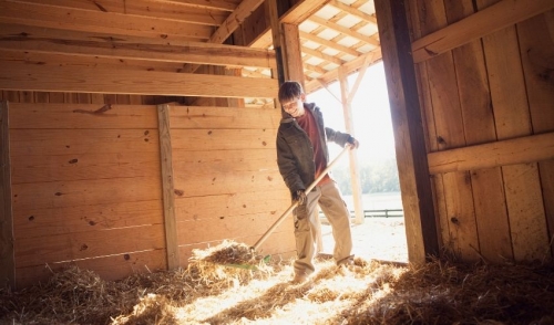 Barn Cleaning