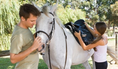 Getting Tack to Fit Your Horse Properly