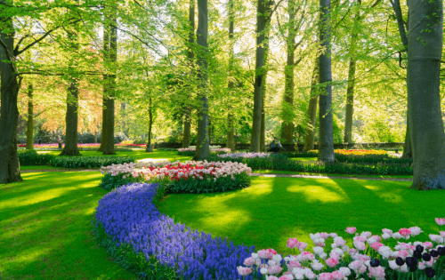 photo of a well maintained lawn