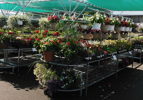Hanging Baskets & Container Plantings