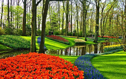 Lawn & Garden