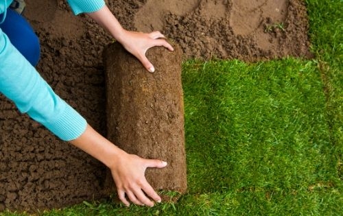 Lawn Sod Sales & Installation