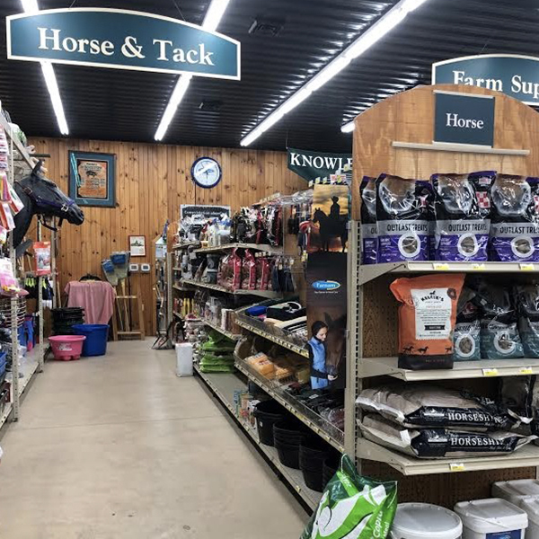 Horse Feed & Supplies