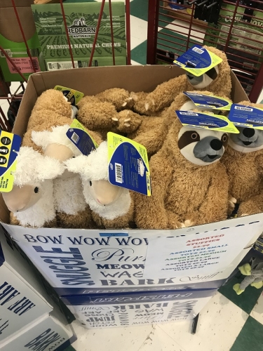 Assorted Pet Toys
