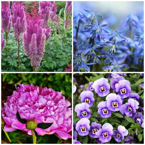 Top 5 Reasons Fall is for Planting Perennials