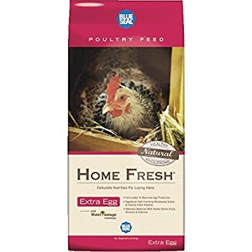 Blue Seal Home Fresh Extra Egg Crumbles