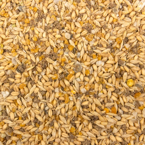 Scratch Grain