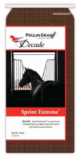 Decade Sprint Extreme Horse Feed
