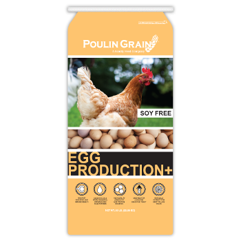 Poulin Grain Egg Production Plus Crumbles