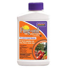 Bonide Fung-onil Multi-Purpose Fungicide