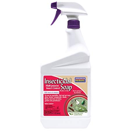 Bonide Insecticidal Soap Multi-purpose Insect Control Spray