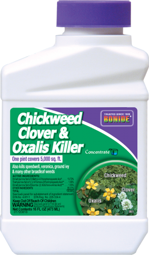 Bonide Chickweed, Clover & Oxalis Killer Concentrate