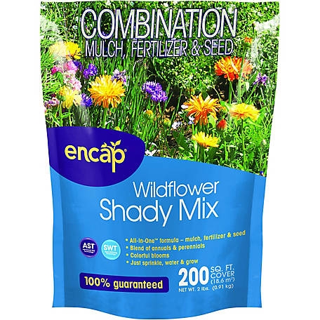 Encap Wildflower Shady Mix