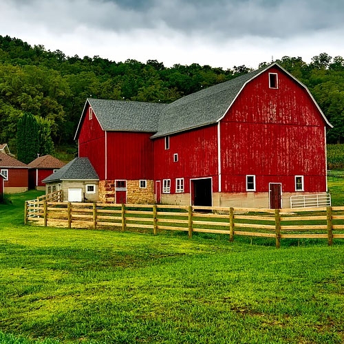 Farm & Ranch Supplies