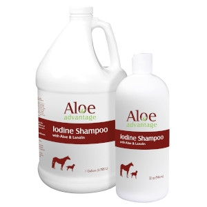 Aloe Advantage Iodine Shampoo with Aloe and Lanolin 32 oz.
