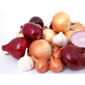 Onion Bulbs