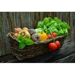 Garden Vegetable Seeds