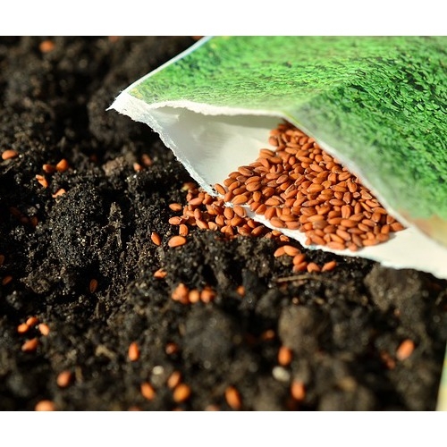 Bulk Seeds - Vegetables, Fruit, & Plants