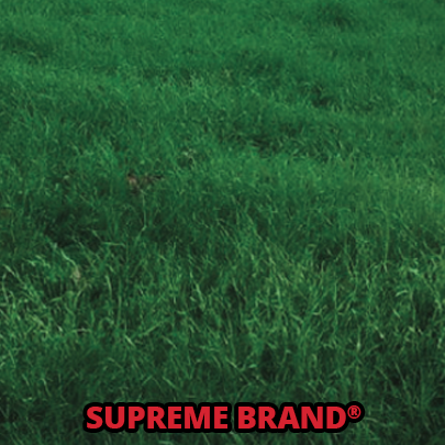 Wax Wild Game Mixes-Supreme Blend Seed Mix