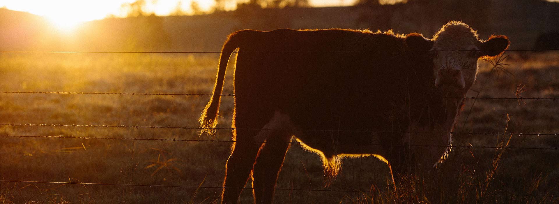 Fletcher's Feed & Farm Supply Feed And Supply Store For Both Your