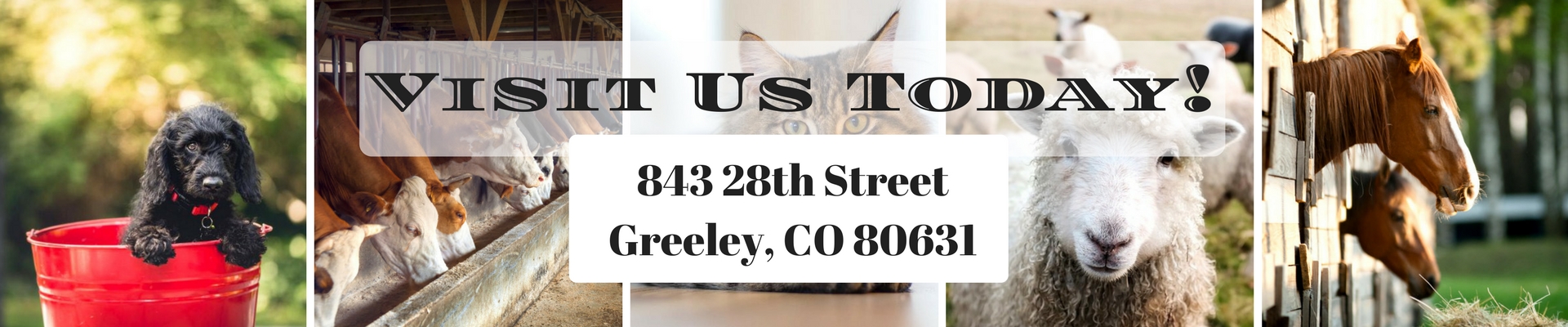Visit Us