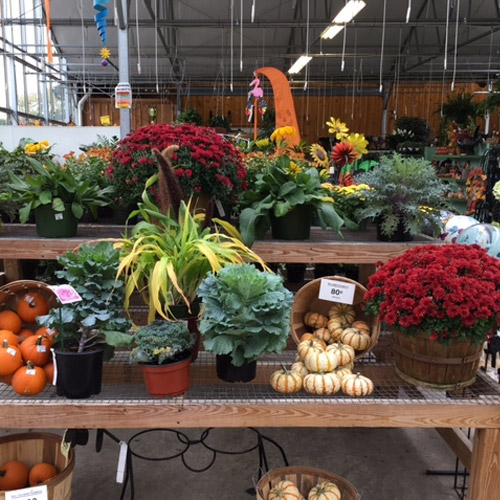 Party Rentals, Heavier Construction Equipment, Flowers, Annuals