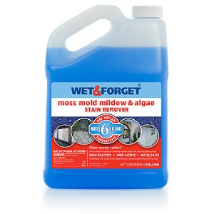 Wet & Forget Outdoor Moss, Mold, Mildew & Algae Stain Remover, Makes 6 Gallons