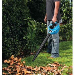 Wet/Dry Vacuum With Detachable Blower