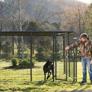 Tarter® 10' x 10' x 6' Galvanized Steel Elite Dog Kennel