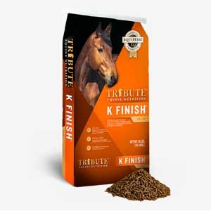 Tribute® K Finish® Horse Supplement